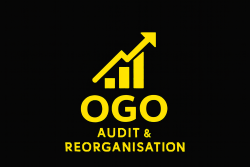 Logo Audit et Réorganisation